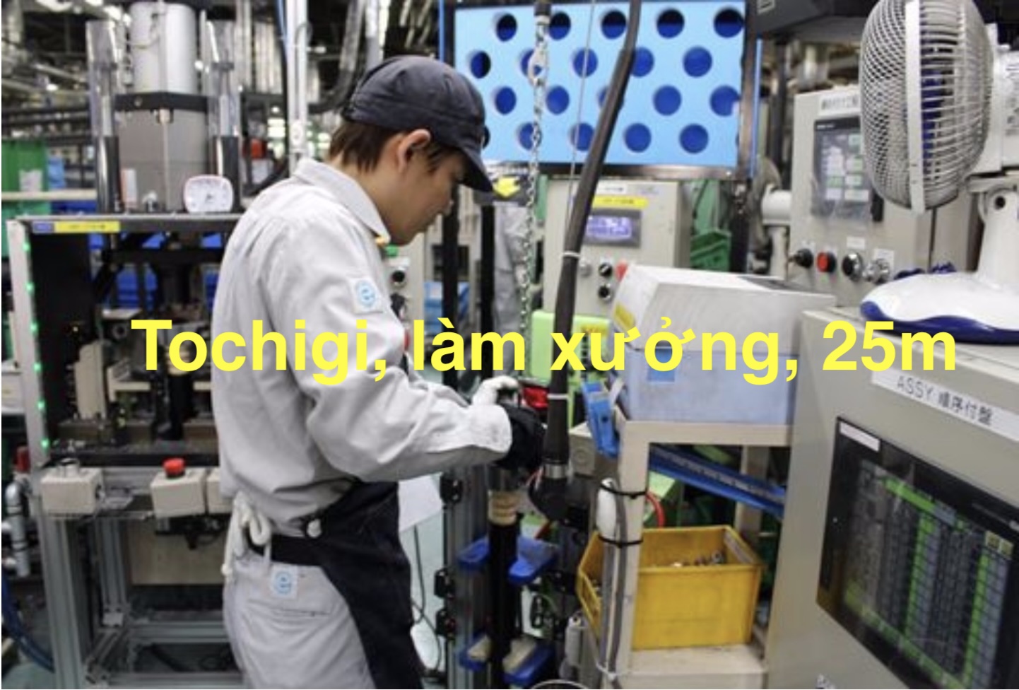 Tochigi.jpg