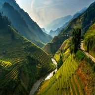nguyenthiha0088