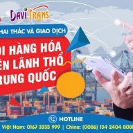 davitrans