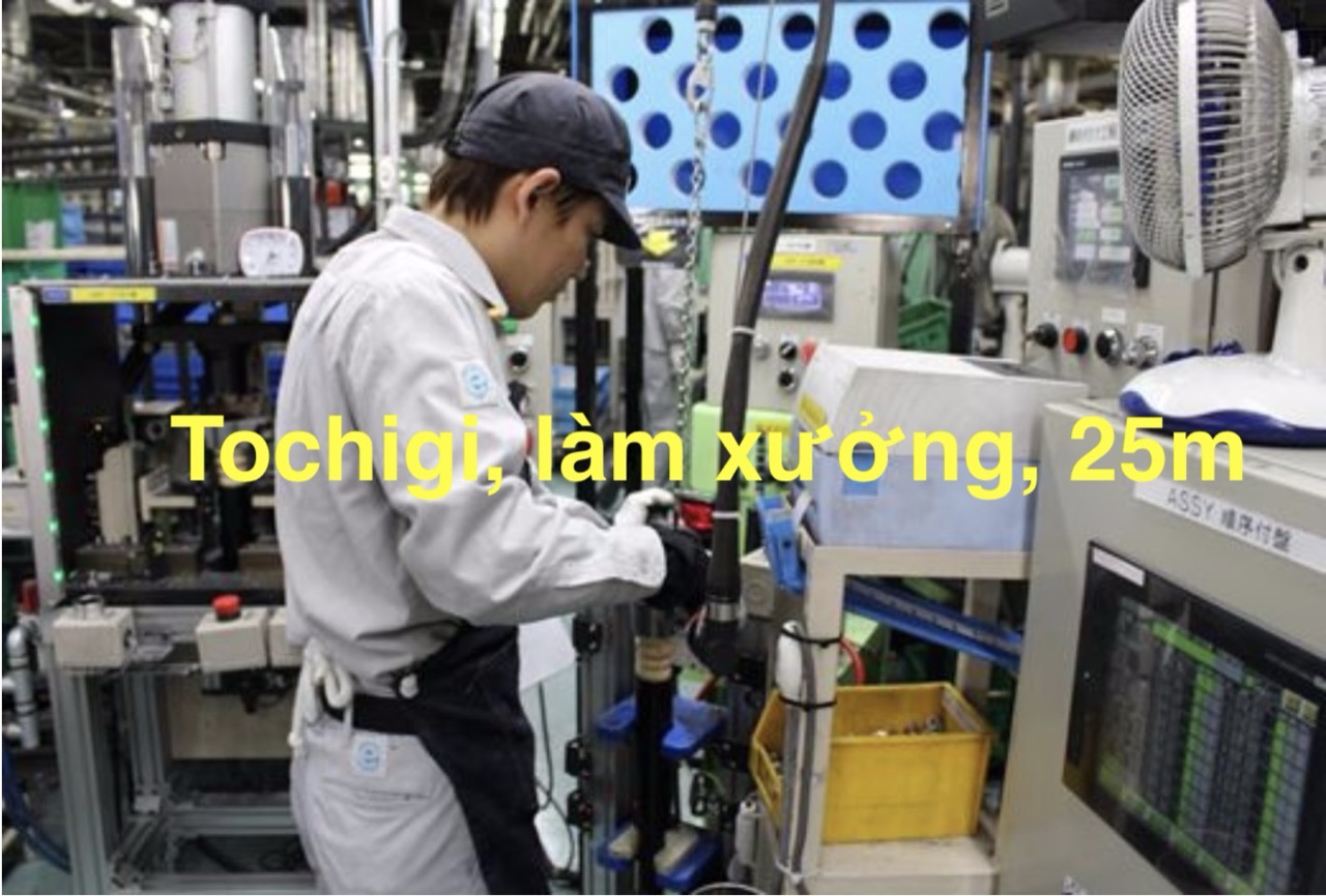 Hình ảnh NP05